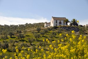 andalucian villa